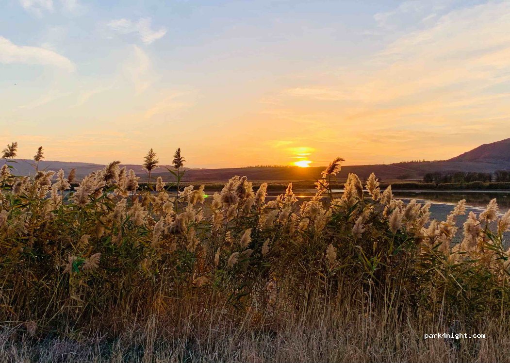 (357415) Voronov - Unnamed Road — foto 2