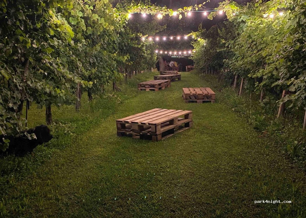 Cantina e Agriturismo La Casa Vecchia — foto