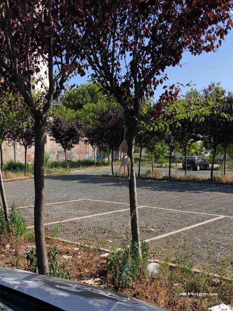 (80059) Torre del Greco - 37 Via Alcide De Gasperi — foto