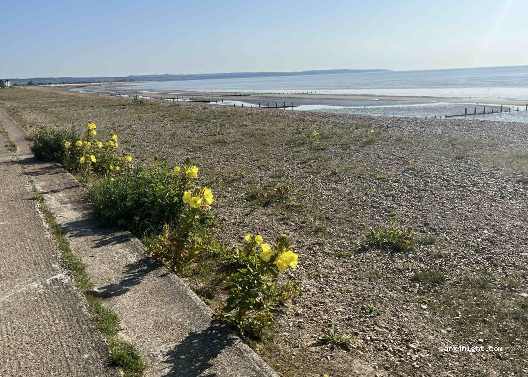 (TN28 8QY) Romney Marsh - Coast Road — foto 5