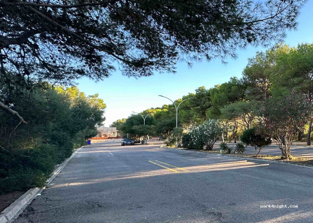 (07680) Manacor - 1137 Carrer Marco Polo — foto 2