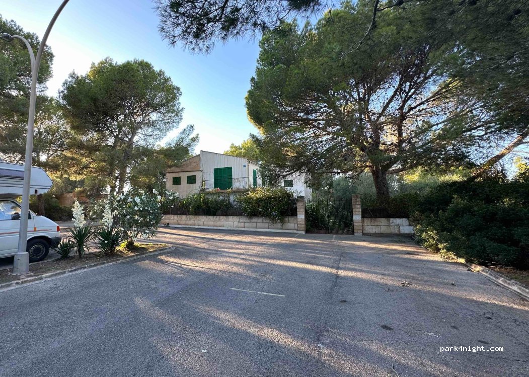 (07680) Manacor - 1137 Carrer Marco Polo — foto 3