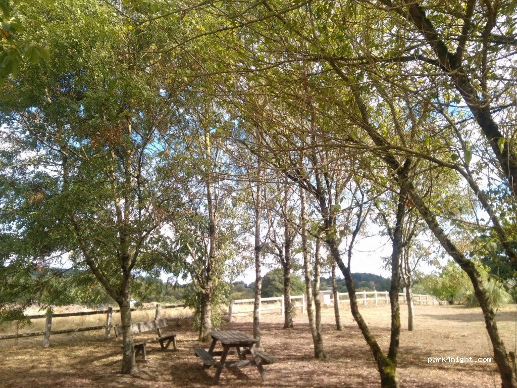 La p'Thite Marmande — foto 3