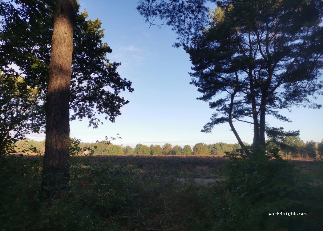 (29640) Schneverdingen - 100 Höpen — foto 3
