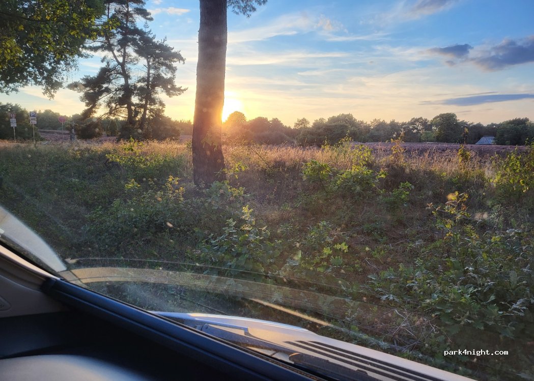 (29640) Schneverdingen - 100 Höpen — foto 4