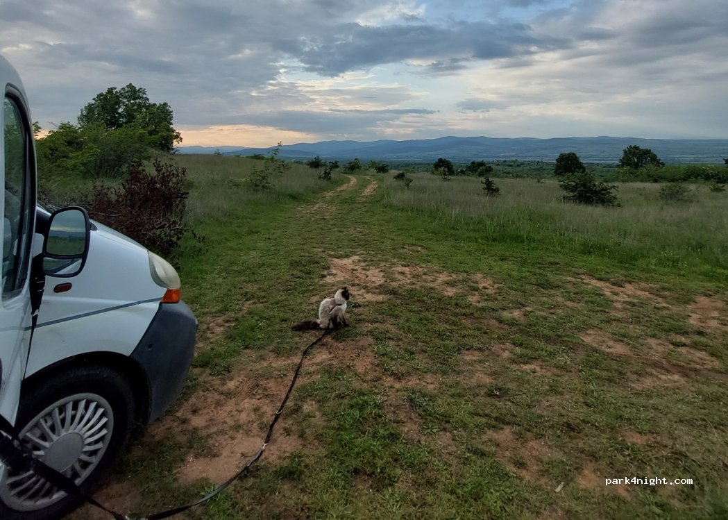 (4484) Karabunar - Unnamed Road — foto 3
