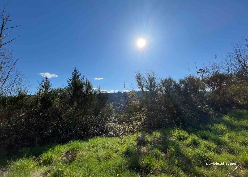 (07160) Belsentes - Les Collanges — foto 4