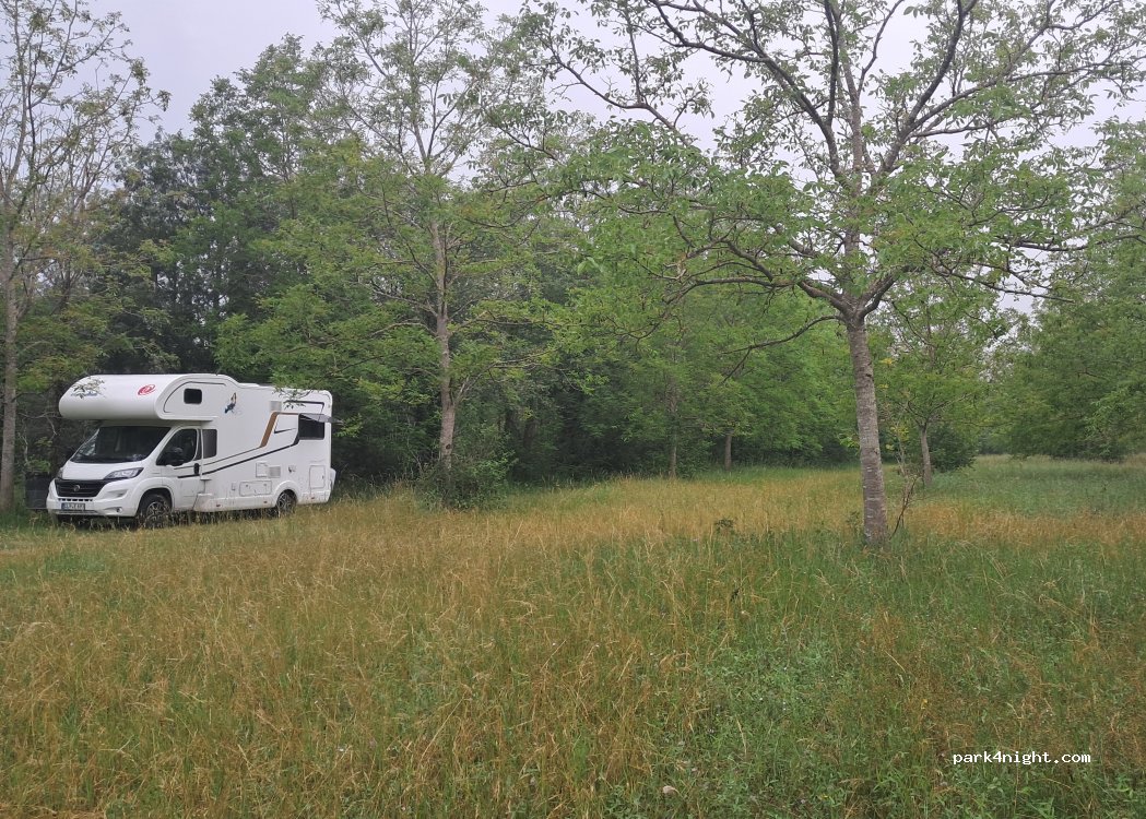 (31550) Cintegabelle - Chemin du Ramier — foto 4