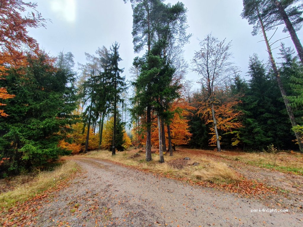 (561 63) Nekoř - Unnamed Road — foto 3