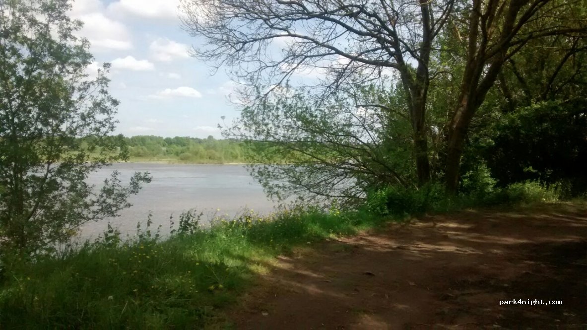 (49290) Chalonnes-sur-Loire - Le Buisson — foto