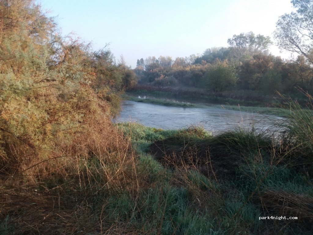 (50693) Alagón - Camino de la Malvasía — foto