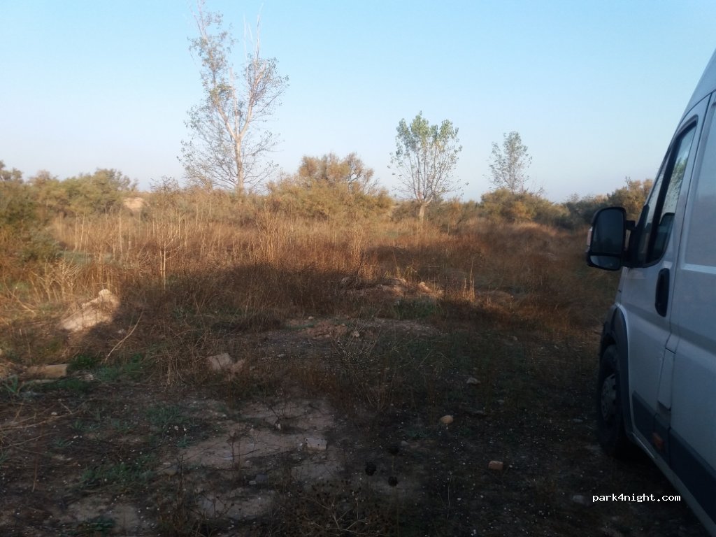 (50693) Alagón - Camino de la Malvasía — foto 2