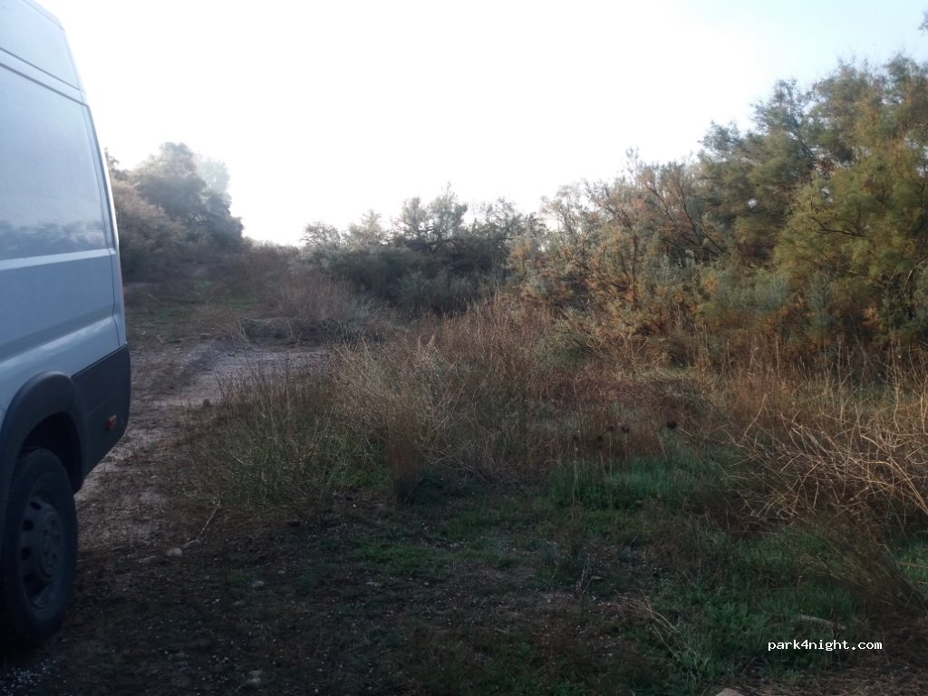 (50693) Alagón - Camino de la Malvasía — foto 3
