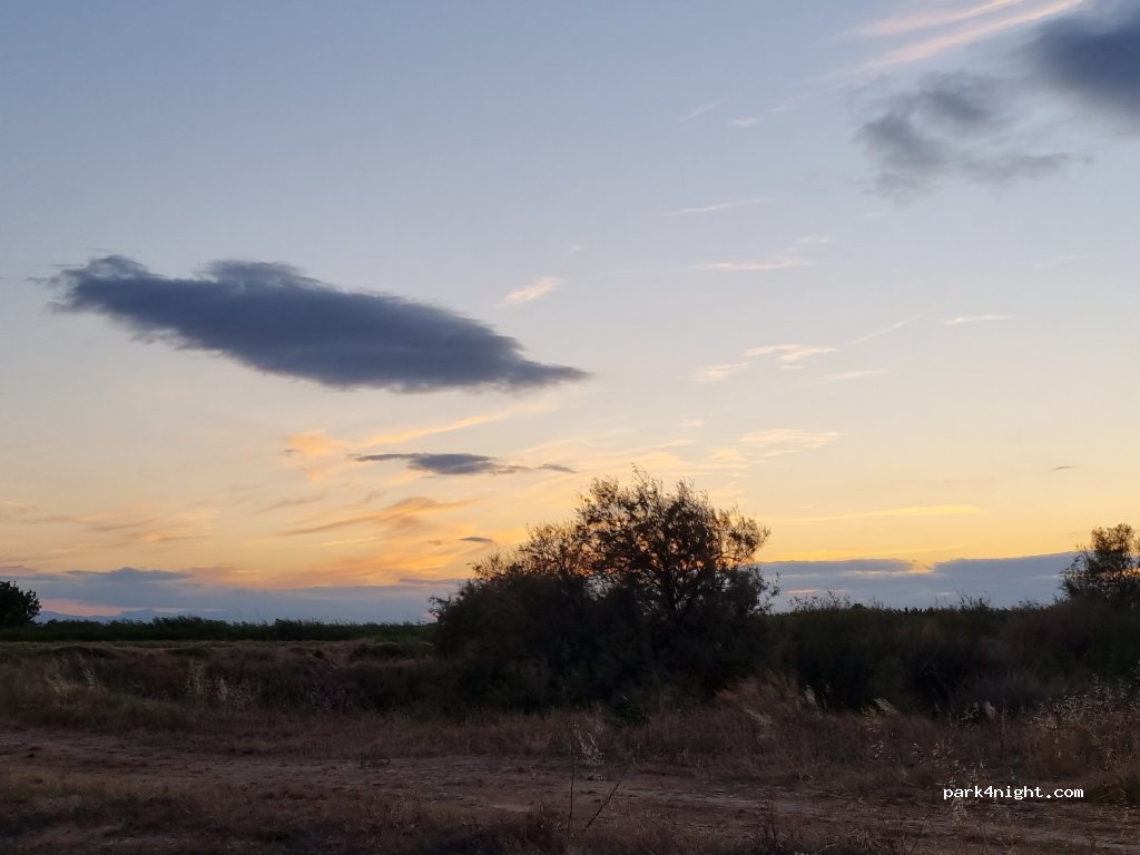 (50693) Alagón - Camino de la Malvasía — foto 4