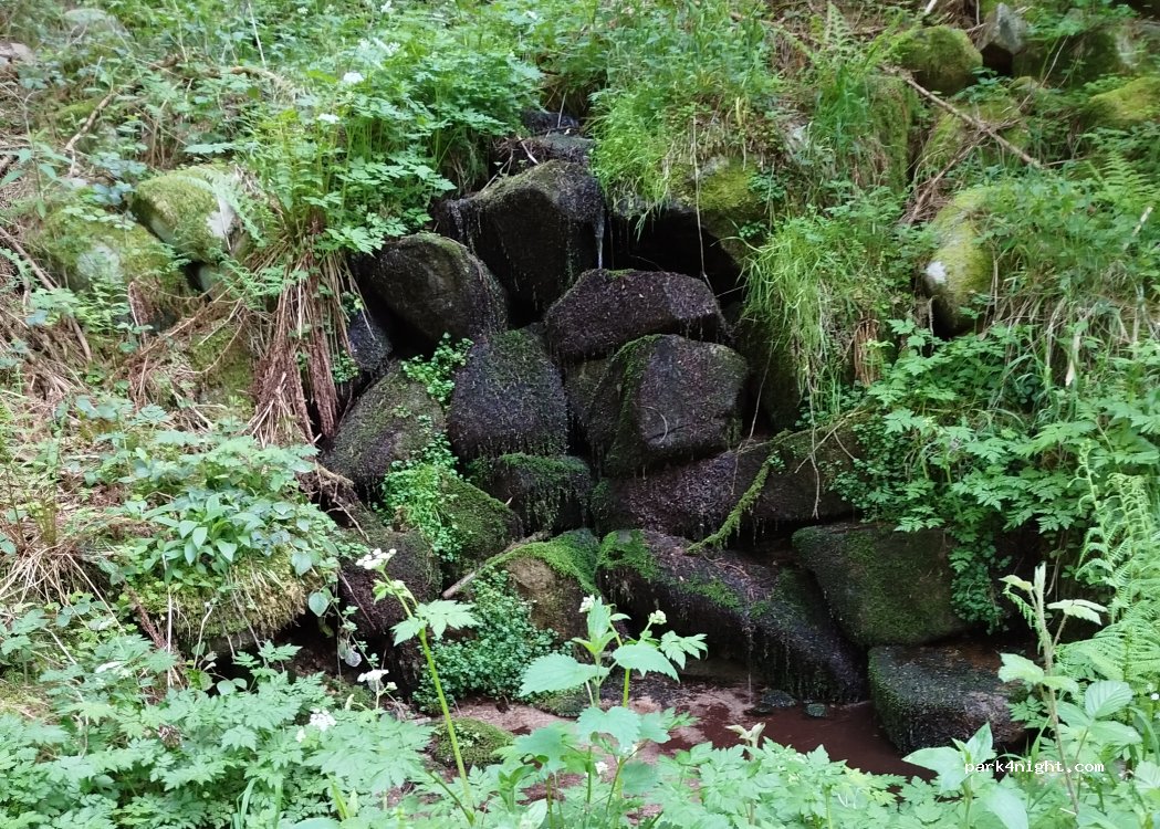 (68500) Rimbach-prés-Guebwiller - 1 Chemin Peternitweg — foto