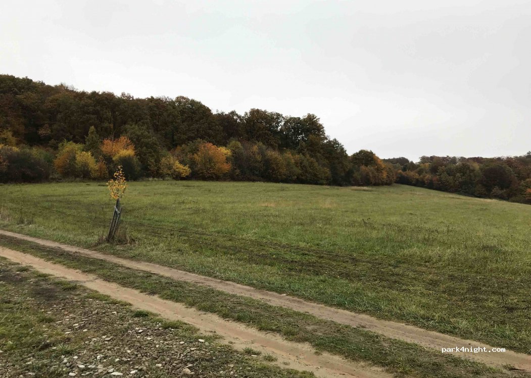 (687 04) Jankovice - — foto