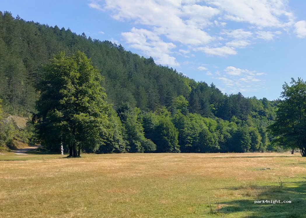 (417566) Bălnaca - Unnamed Road — foto