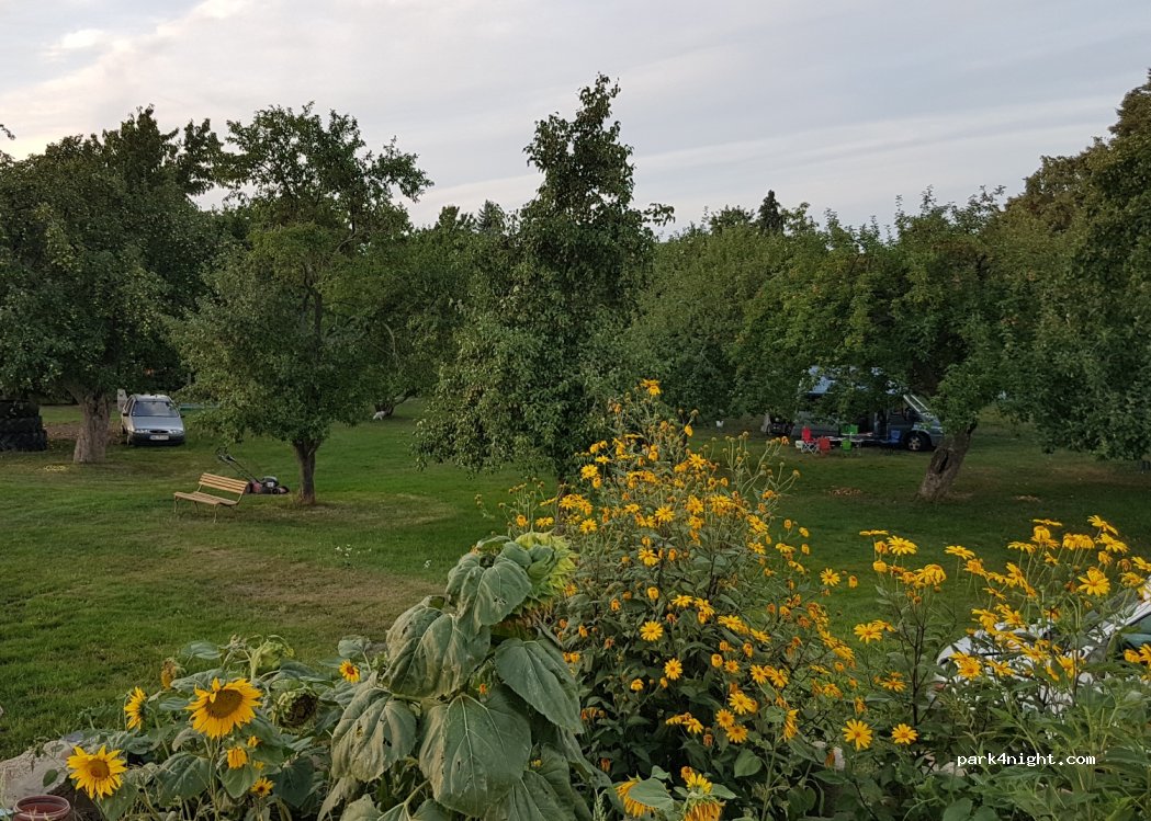 Familienferienhof Leubner — foto 3