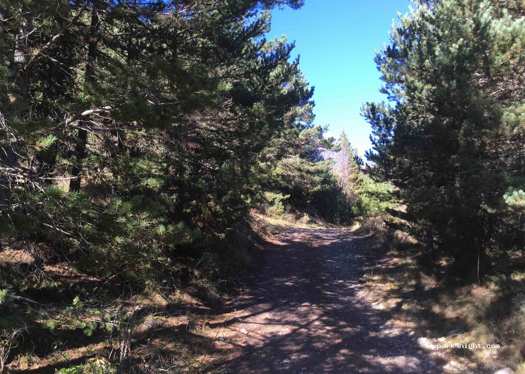 (08699) Vallcebre - Cal Marxa — foto