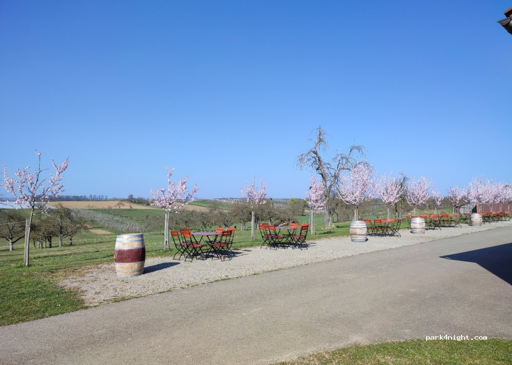 Weingut Wagner — foto 2