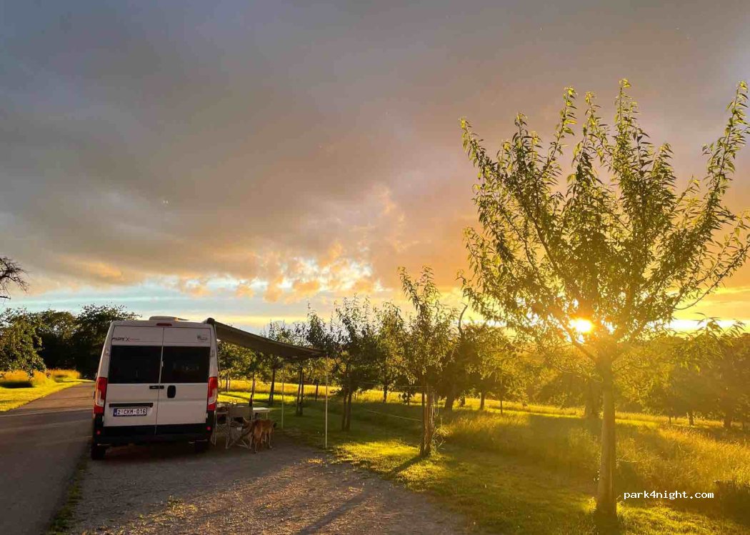 Weingut Wagner — foto 4