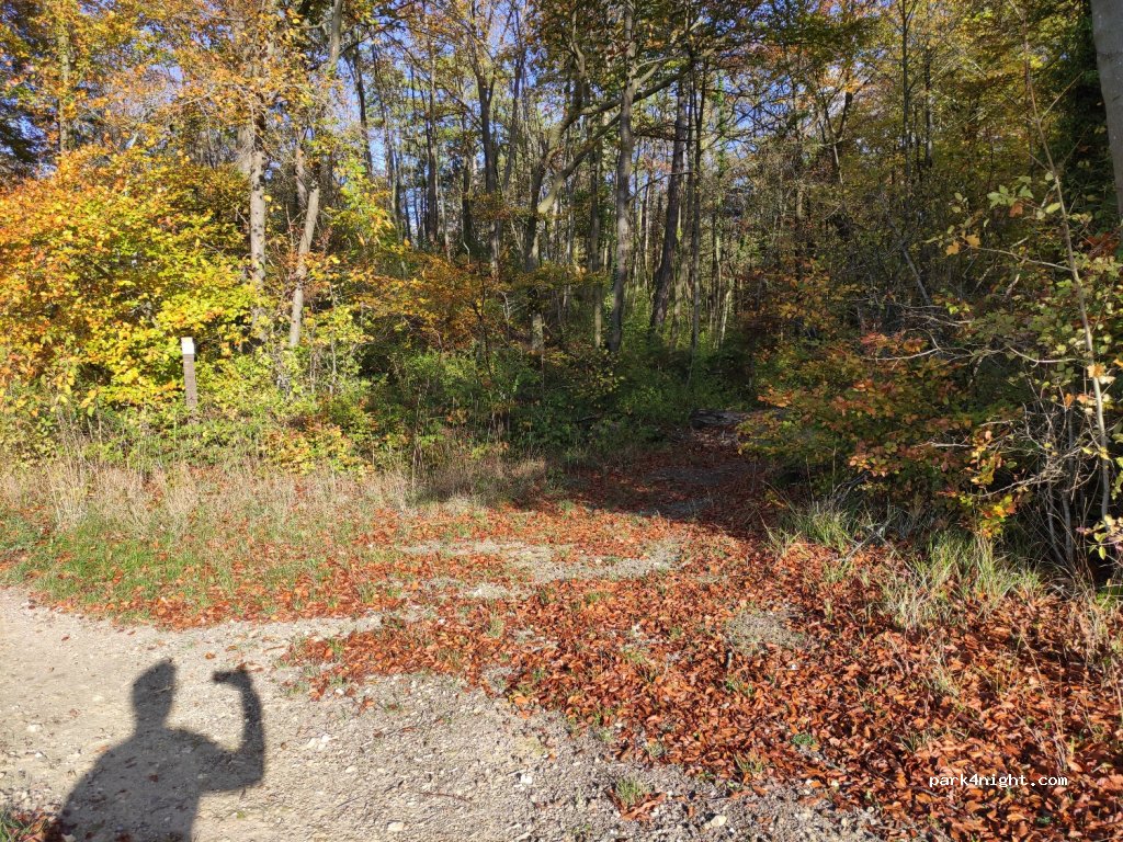 (60370) Hermes - La Carrière — foto 3