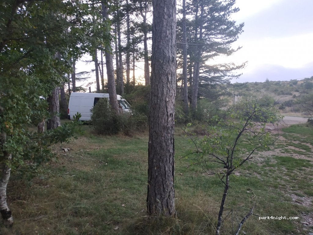 (30770) Blandas - D113 — foto 2