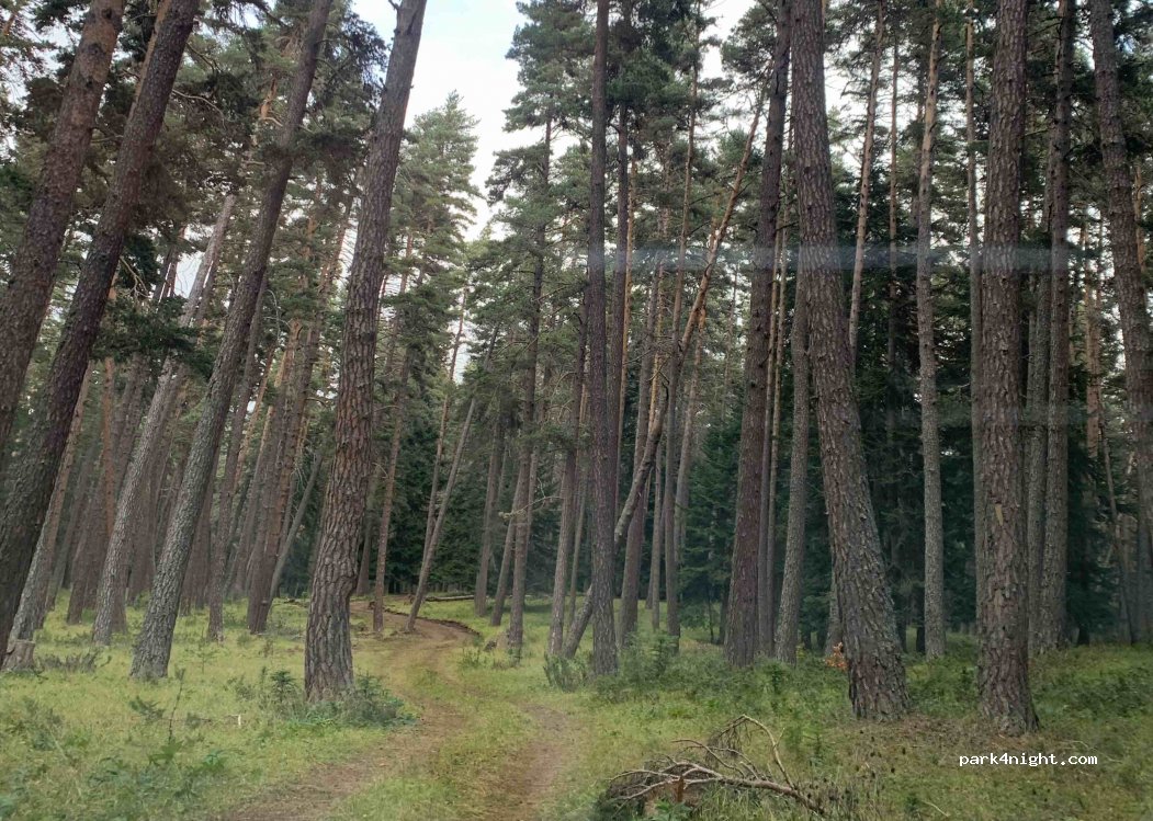 Mountrain Outdoor Club — foto 2