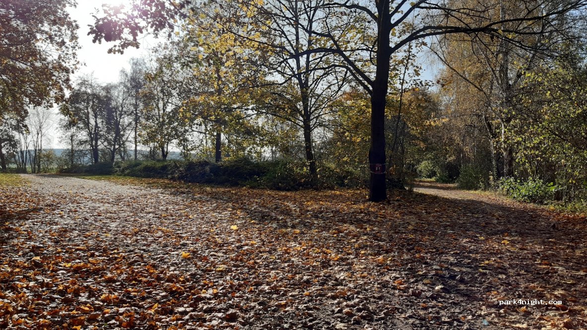 (21379) Scharnebeck - Unnamed Road — foto 2