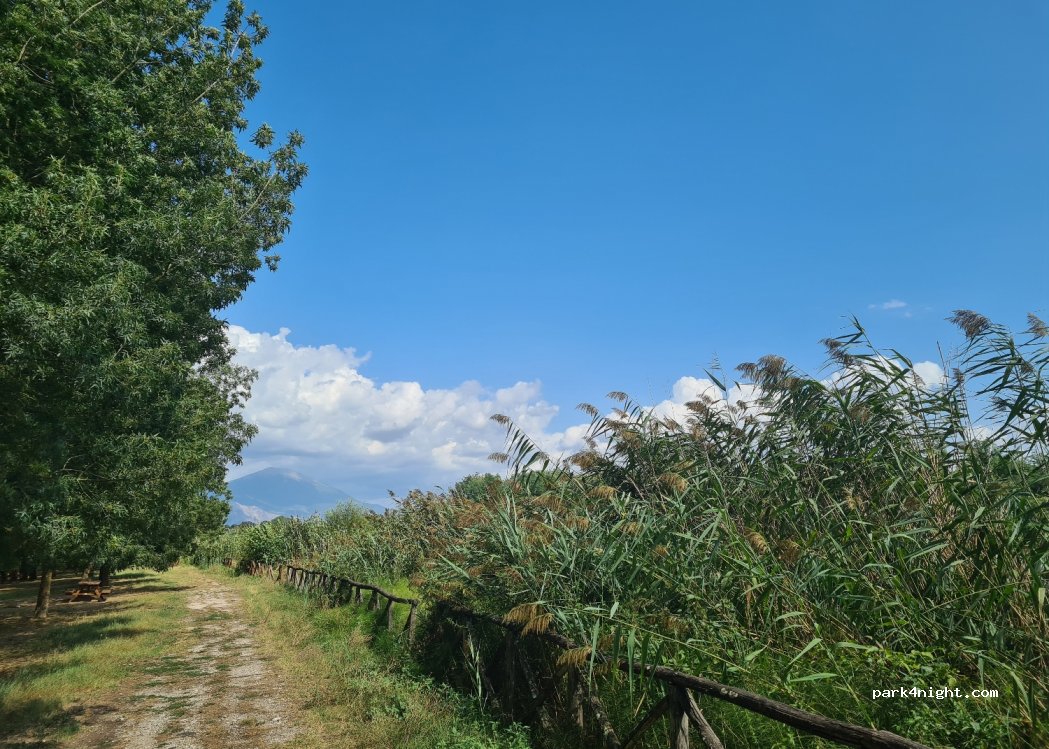 (03032) Arce - 7 Via Madonnelle — foto 4