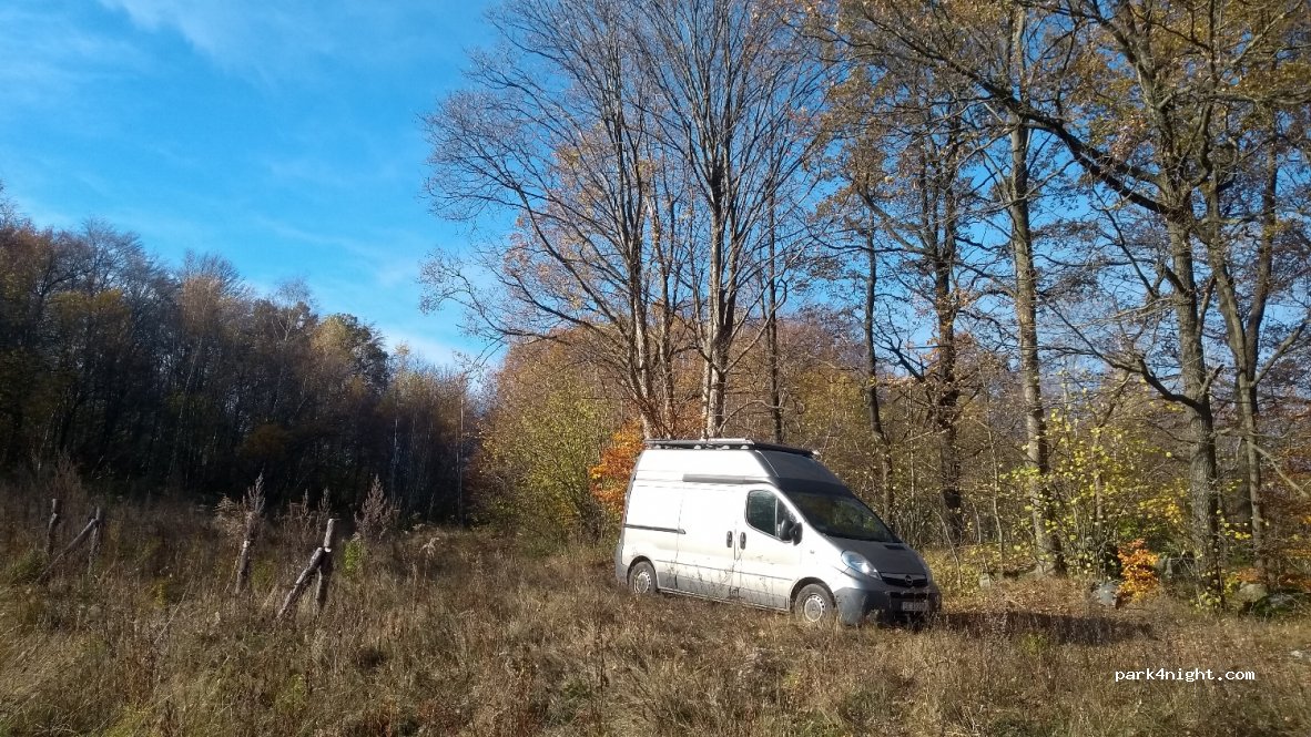 (58) Gruszków - Unnamed Road — foto