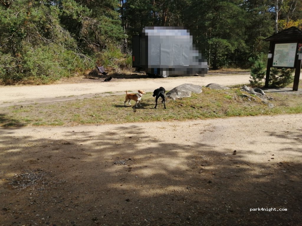 (77123) Noisy-sur-École - Chemin de l'Aubergé — foto 3