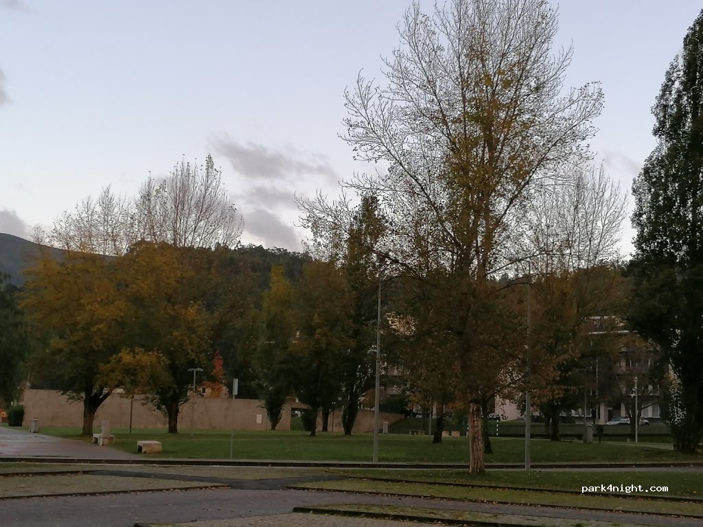 (3300-045) Arganil - — foto 3