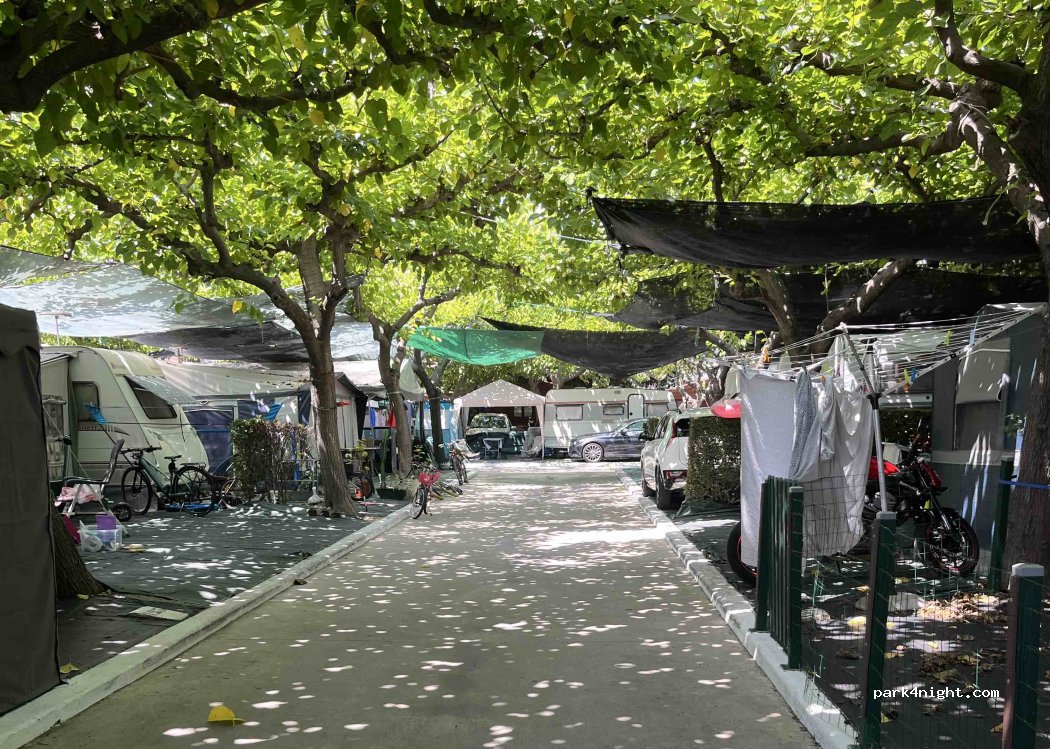 Camping Coelius — foto 4