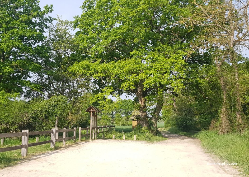 (91580) Auvers-Saint-Georges - Rue du Bois — foto 3