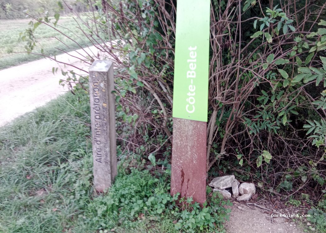 (79800) Pamproux - Unnamed Road — foto