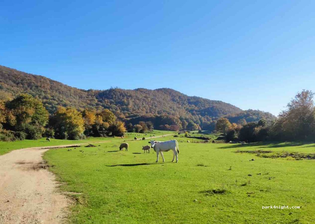 (02040) Cottanello - Unnamed Road — foto