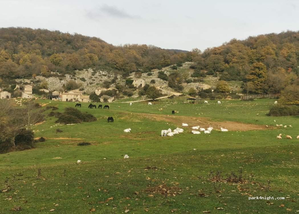 (02040) Cottanello - Unnamed Road — foto 5