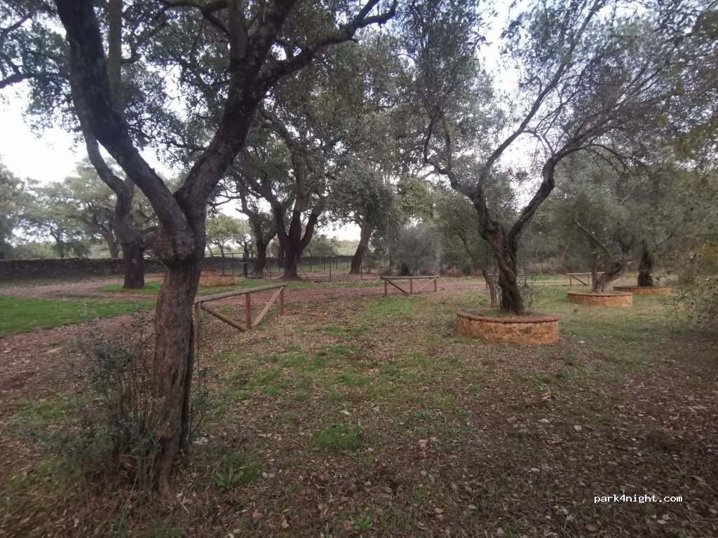 (21200) Aracena - Unnamed Road — foto 2
