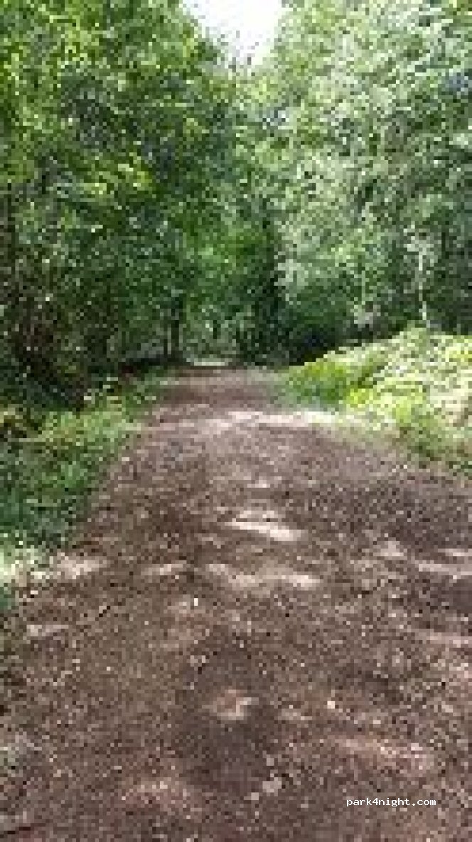 (86190) Quinçay - Unnamed Road — foto 2