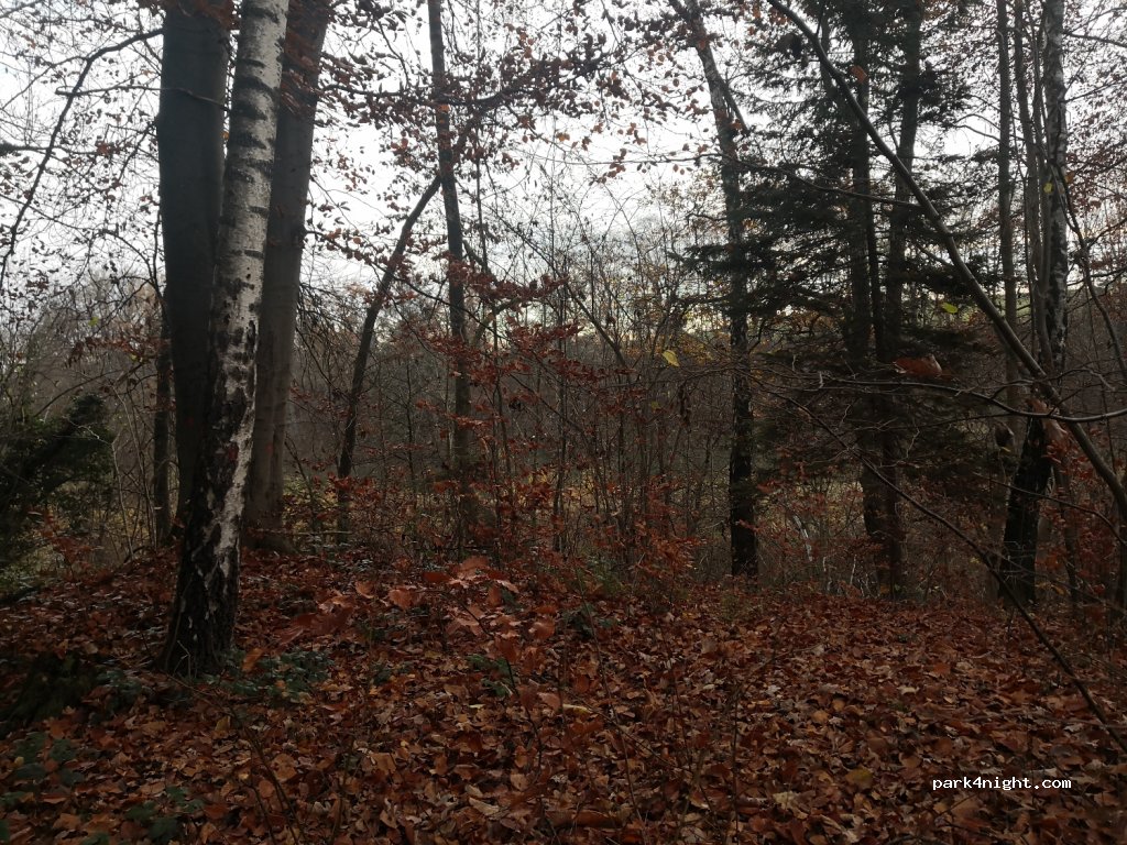 (87448) Waltenhofen - 2 Am Durchlaß — foto