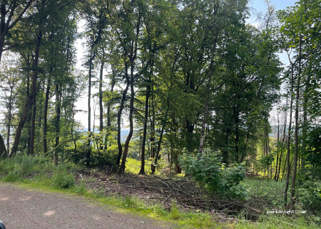(58762) Altena - Neuenrader Straße — foto 4