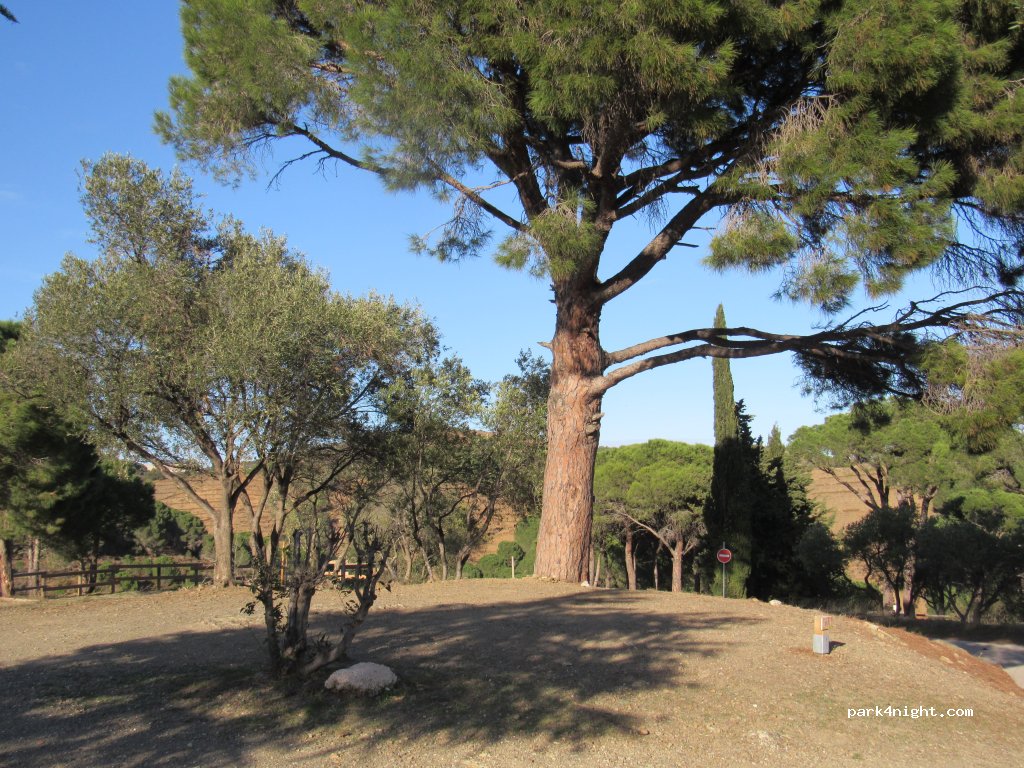 Camping Municipal La Pinède *** — foto 4