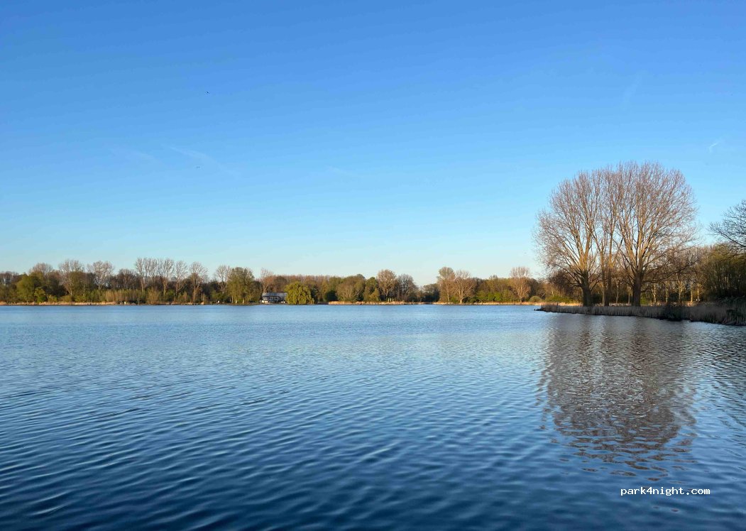Camping Delftse Hout — foto 5