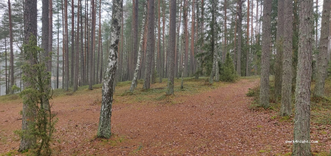 (18236)  - Unnamed Road — foto 3