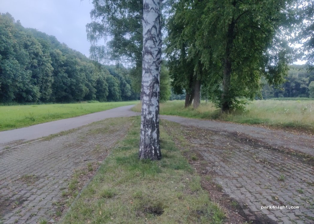 (09212) Limbach-Oberfrohna - Mühlweg — foto 4