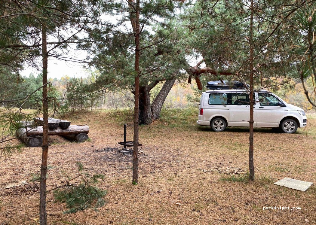 (249867) Plyuskovo - Unnamed Road — foto
