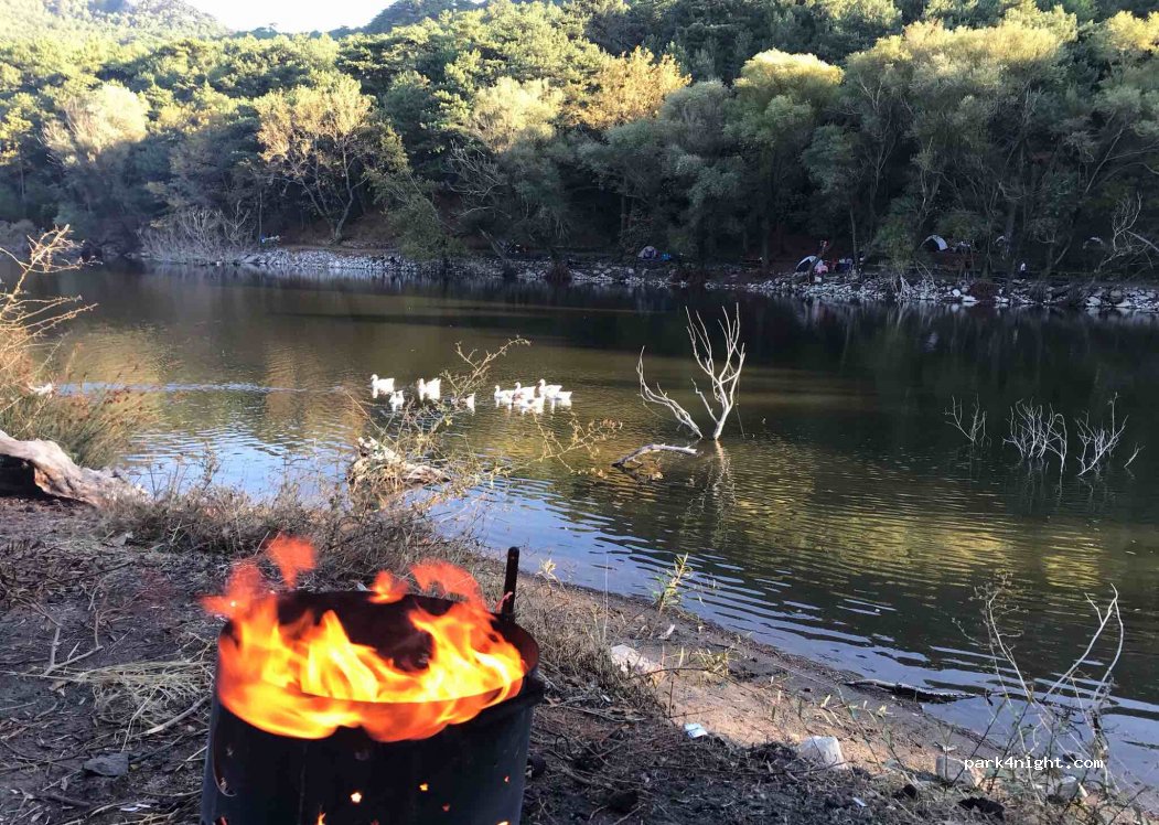 Karagöl Forest Camp — foto