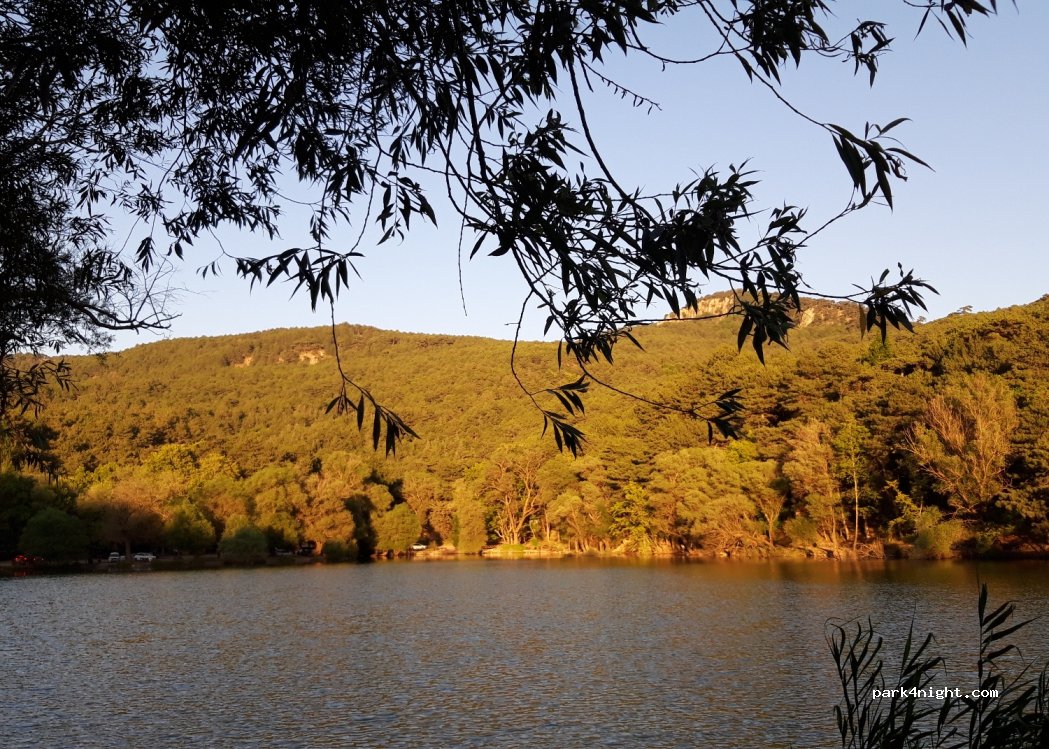 Karagöl Forest Camp — foto 3