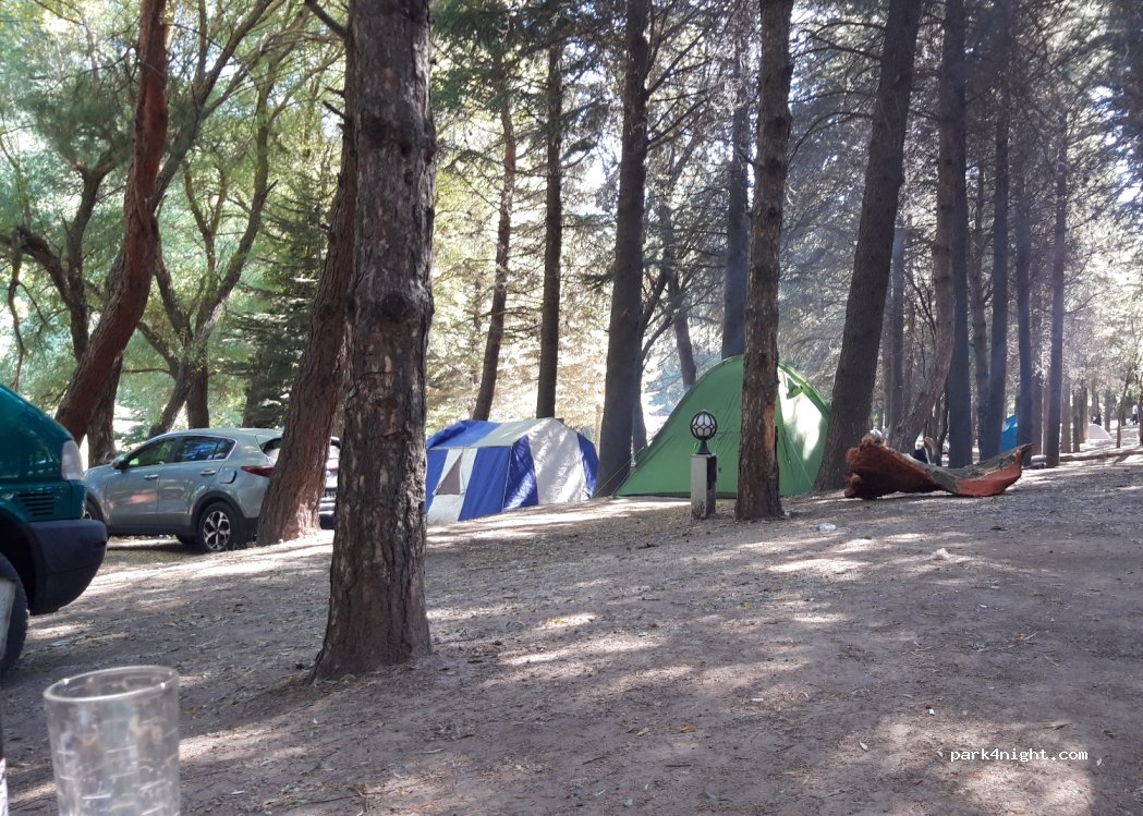 Karagöl Forest Camp — foto 4